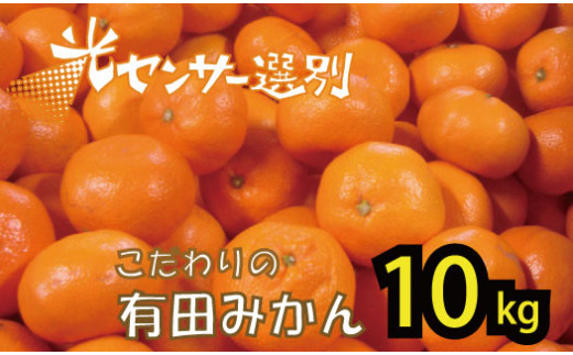 【2024年12月発送予約分】＼光センサー選別／ 【農家直送】【家庭用】こだわりの有田みかん 約10kg＋250g(傷み補償分) 有機質肥料100% サイズ混合 【12月発送】【nuk101-2D】