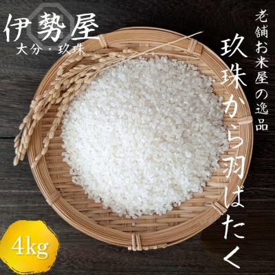 ふるさと納税 玖珠町 【 伊勢屋オリジナル 】【 令和7年産 】【 精白米 4kg入 】【 玖珠から羽ばたく 】