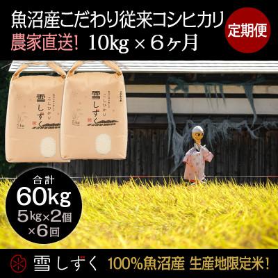 ふるさと納税 十日町市 【毎月定期便】魚沼産こだわり従来コシヒカリ  10kg(5kg×2袋)×6回 合計60kg全6回