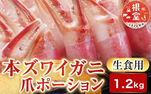 B-14088 生食用本ズワイガニ爪ポーション1.2kg