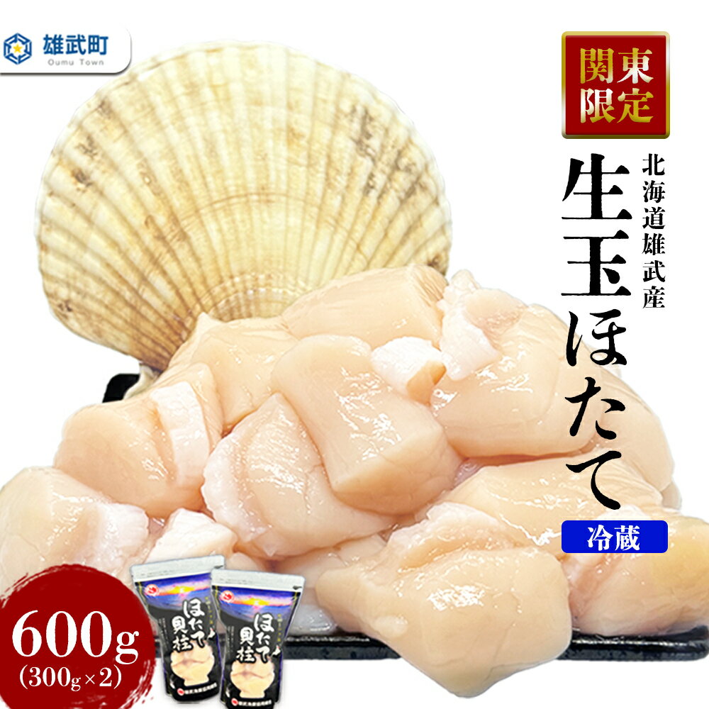 【ふるさと納税】関東限定 生ほたて 期間限定 北海道雄武産 生玉ほたて 塩水パック 冷蔵 | 生ホタテ 新鮮 ホタテ 帆立 ほたて 300g×2 大粒 生 冷蔵 塩水パック 塩水 未冷凍 オホーツク 刺身 魚介 海鮮 海産物 魚介類 ふるさと納税 雄武町 雄武漁業協同組合 北海道【07151】