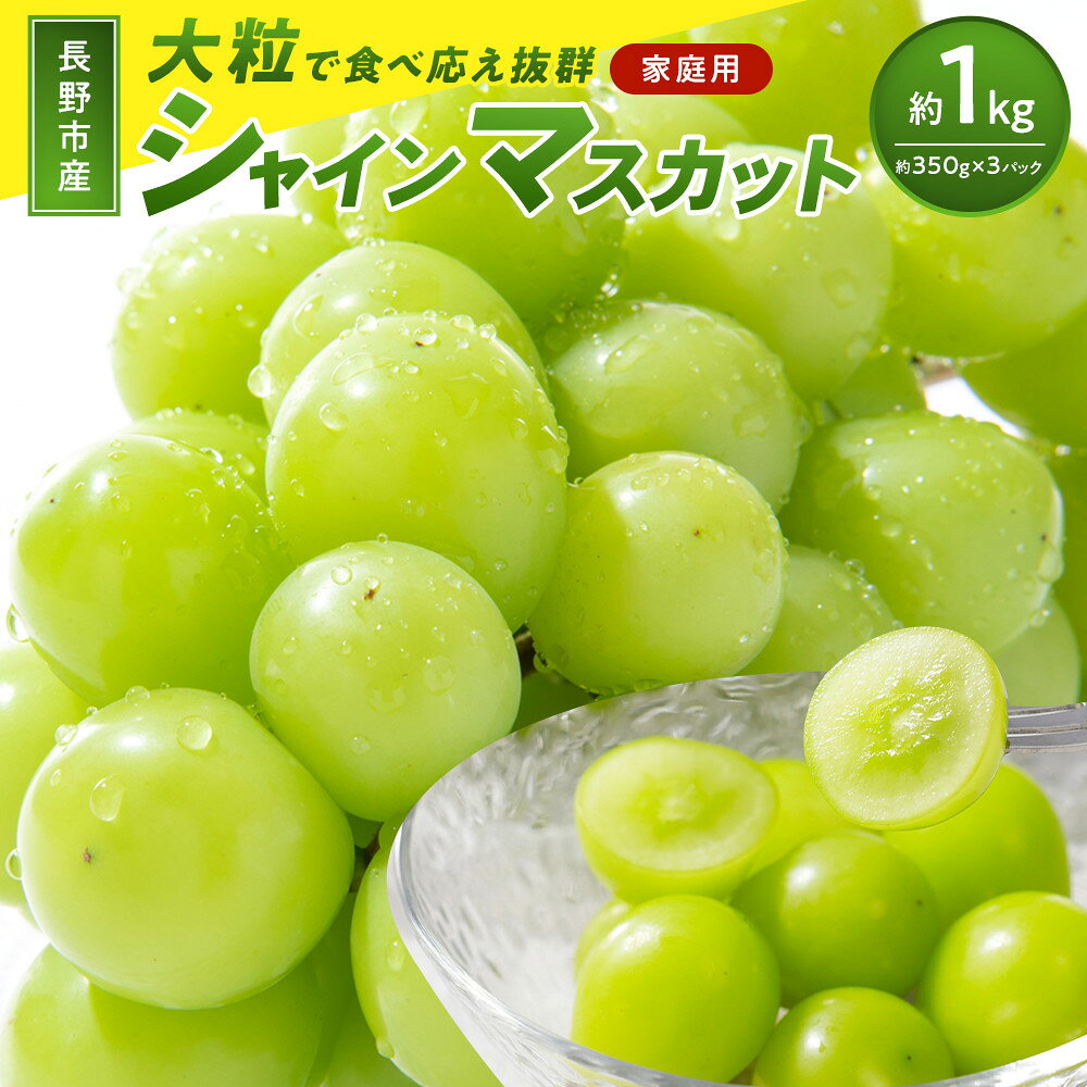 【ふるさと納税】【訳あり】長野市産 シャインマスカット 約1.0kg（ご家庭用）【2026年9月下旬以降出荷予定】わけあり 長野 | ぶどう 訳あり シャインマスカット 約1kg 人気 おすすめ フルーツ 果物 葡萄 ブドウ 種なし 長野県 長野市 信州 信濃 ふるさと納税