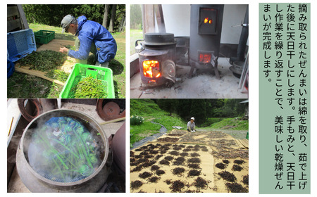 令和8年産 干しぜんまい 乾燥ぜんまい 中100g ぜんまい 山菜の王様「ぜんまい」新潟県 糸魚川市 能生谷産 柔らか美味しい 山菜 凝縮された旨味 おおかやば山菜園 2026年産