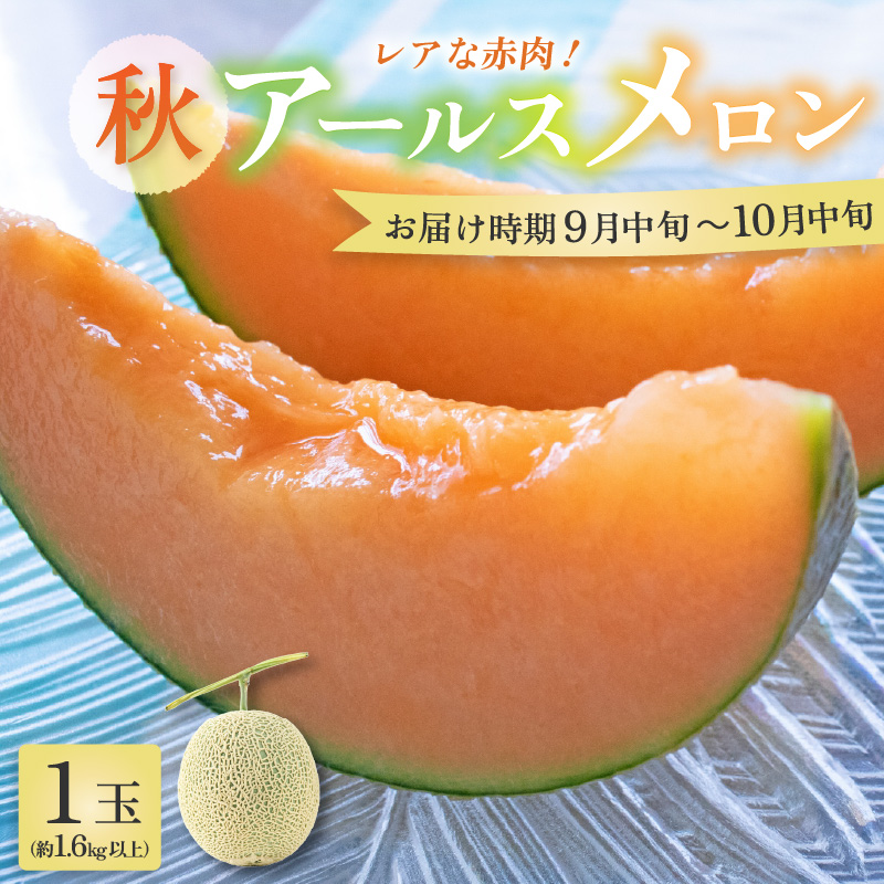 【先行予約】【赤肉】秋 アールスメロン 1玉（約1.6kg以上） 高級メロン！ ／ マスクメロン 大玉 果物 フルーツ ギフト 農家直送 ※2027年9月中旬～2027年10月中旬の間に発送予定 [aw065-a010]
