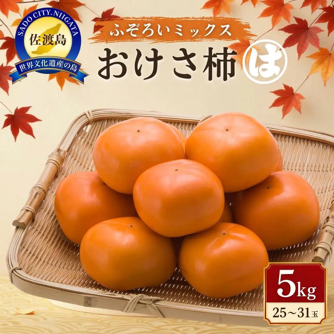 【先行予約】おけさ柿 約5kg 家庭用（25?31個） | 新潟県 佐渡市柿