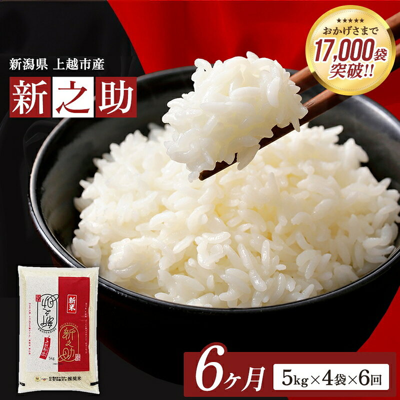 【ふるさと納税】8月開始 新之助 無洗米 新潟県 上越産 20kg (5kg×4) 6か月 定期便 しんのすけ 五つ星お米マイスターのいるお店 お米 精米 米 ご飯 大黒屋商店　お届け：2026年8月上旬～2027年1月下旬