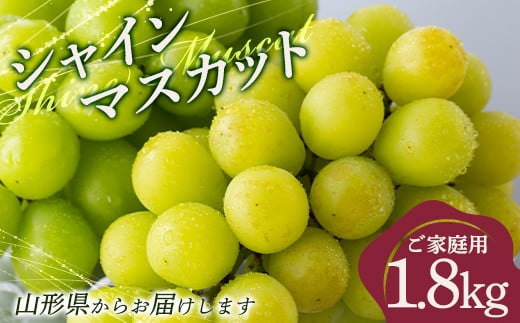 FYN9-914 ≪2025年先行予約≫ご家庭用 山形県 シャインマスカット約1.8kg（2～4 房） 2025年9月上旬から順次発送 大粒 種なしぶどう ブドウ マスカット 葡萄 果物 くだもの フルーツ 秋果実 産地直送 数量限定 訳あり ご自宅用 農家 農業者 支援品 山形県 西川町 月山