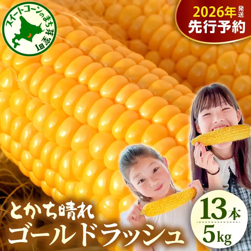 北海道十勝芽室町　とかち晴れ　十勝めむろスイートコーン 13本入り