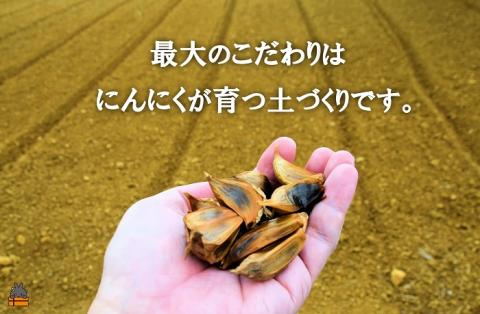 ～こだわりの小粒が魅力！～徳之島産黒ニンニク(100g) ( にんにく 健康食品 黒にんにく 自家栽培 徳之島 奄美 世界自然遺産 野菜 こだわり 完熟肥料 長寿 デコチャン農園 レターパック配送 )