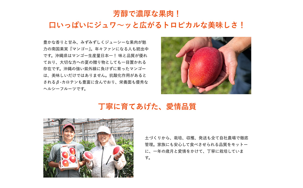 訳ありマンゴー２kg【熱帯資源植物研究所】