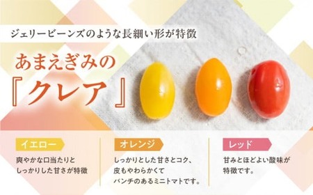 ≪先行予約≫あまえぎみ クレアイエロー フルーツトマト 1キロ 1kg たっぷり ミニトマト プチトマト トマト 高糖度 甘い フルーツ 野菜 お弁当 サラダ ギフト リコピン 完熟 新鮮 ツヤツヤ 