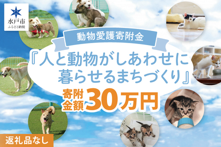 【返礼品なし】水戸市 動物愛護寄附金『人と動物がしあわせに暮らせるまちづくり』300000円【動物愛護 愛護活動 保護 犬 猫 いぬ ねこ イヌ ネコ 動物 ペット 応援 支援 水戸市どうぶつ愛護センター 茨城県】(LW-13)