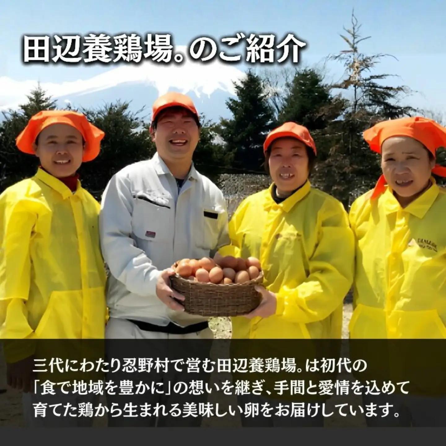 富士山の恵“忍野のたまご“‐うま味のピンク玉‐10㎏