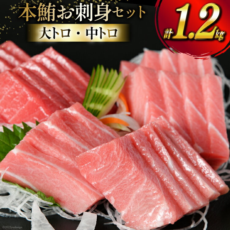【ふるさと納税】【高級旅館御用達】 本鮪 お刺身セット 大トロ 800g 中トロ 400g [豊洋海産流通 宮城県 気仙沼市 20563969] 魚 刺身 まぐろ マグロ 本マグロ 鮪 柵 本鮪 本まぐろ 本鮪柵 セット 詰め合わせ 魚介 海鮮 感想