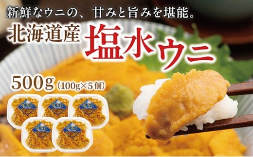 塩水ウニ 100g×5個 ふるさと納税 人気 おすすめ ランキング うに ウニ 雲丹 ムラサキウニ バフンウニ 生鮮 無添加 魚介類 塩水 生食 北海道 松前町 送料無料 MATM002