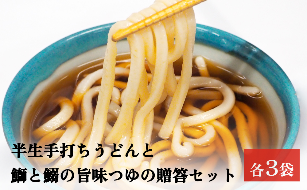 半生うどんとつゆの贈答セット 各二人前×３袋 富山県 氷見