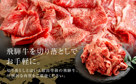 A5等級 飛騨牛 切り落とし 500g×2 計1kg 切り落とし  [mt368] トキノ屋食品