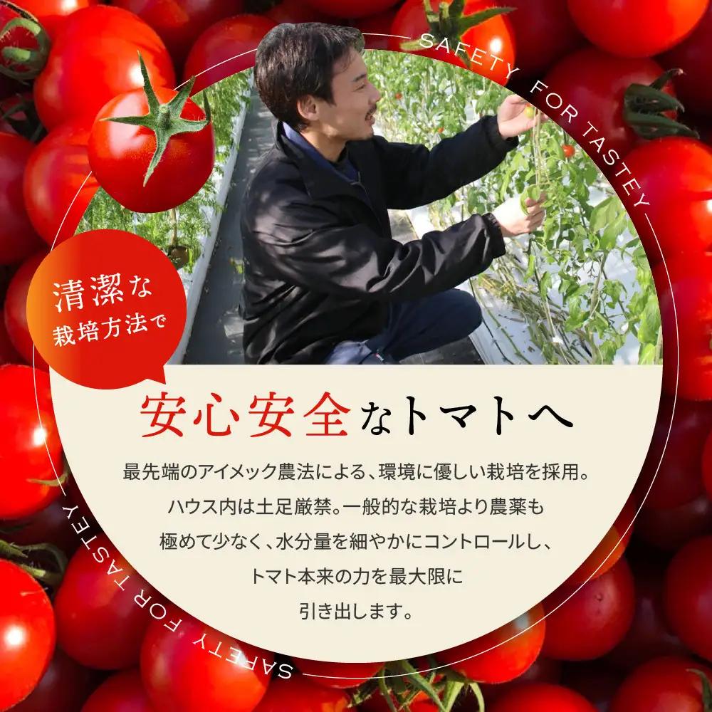 出雲の國からの贈り物～トマトを超えた超トマト３kg