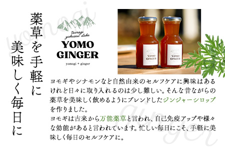 ヨモジンジャーシロップ 225ml×2本 A-TeaM《60日以内に順次出荷（土日祝除く）》熊本県 葦北郡 津奈木町 シロップ　よもぎ 蓬 万能薬草