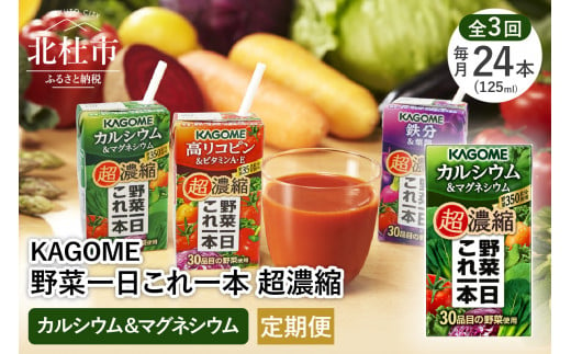 【3ヵ月定期便】カゴメ 野菜一日これ一本 超濃縮 カルシウム＆マグネシウム 125ml 紙パック 24本入 （野菜ジュース）