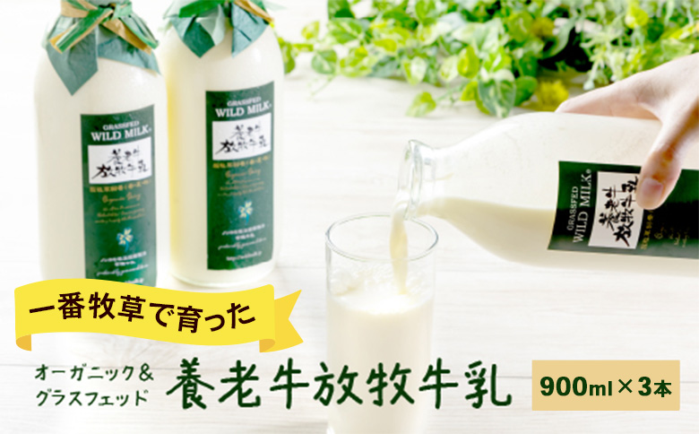 【期間限定：一番牧草】オーガニック＆グラスフェッド養老牛放牧牛乳900ml×3本【13018】