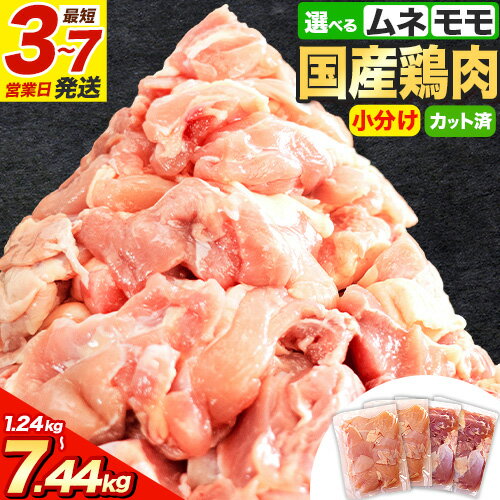 【ふるさと納税】\速攻出荷/ 鶏肉 小分け 発送時期 も選べる 鶏肉 鶏肉 もも肉 or むね肉 or ハーフセット カット 若鶏1.24kg〜7.44kg《出荷時期をお選びください》定期便 ふるさと納税 肉 鶏肉 鶏 鶏モモ 鶏ムネとり肉 訳あり 冷凍 もも肉 簡易包装