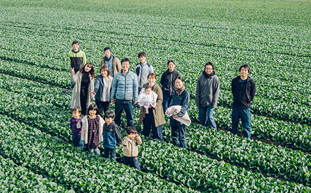 No.215 【3ヶ月定期便】今が旬！お野菜の詰め合わせセット