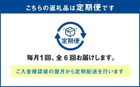 【全6回定期便】 長崎ぶたまん 40個(10個入×4パック) ／ ぶたまん 中華まん 肉まん 豚 豚肉 中華 冷蔵 小分け お取り寄せ おやつ グルメ 国産 惣菜 長崎 長崎県産 長崎県 長崎市