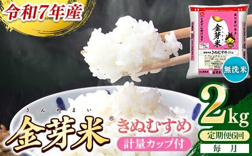 【定期便】BG無洗米・金芽米きぬむすめ 2kg×6ヵ月 （毎月）計量カップ付き【令和7年産 6ヶ月 時短 健康 米 BG 無洗米 計12kg 精米 半年間 島根県産 節水 時短 アウトドア キャンプ 東洋ライス おすすめ 島根県 安来市】【42-SS-24】