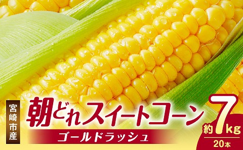 《2026年発送先行予約》【数量・期間限定】宮崎市産朝どれスイートコーン（ゴールドラッシュ）約7kg_M320-001_01