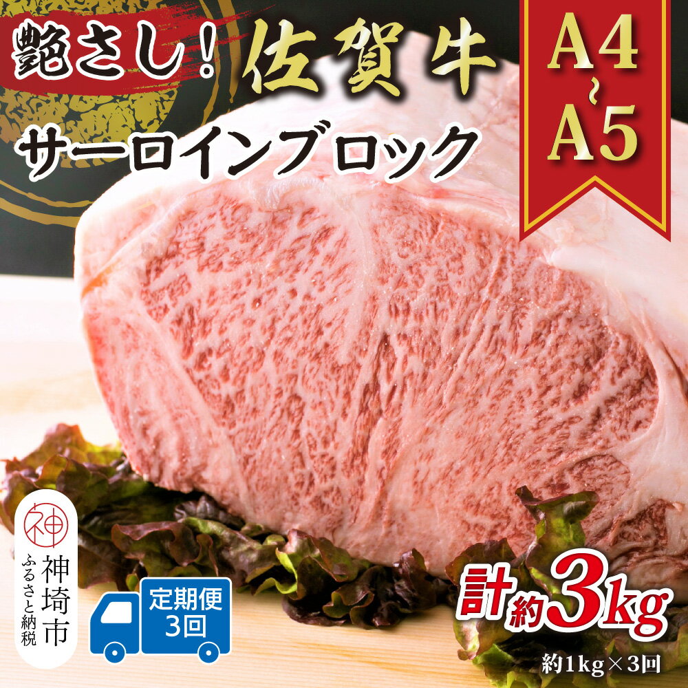 【ふるさと納税】【3か月定期便】艶さし！【A4〜A5】佐賀牛サーロインブロック 約1kg×3回【肉 牛肉 ブランド牛 黒毛和牛 ステーキ肉 ふるさと納税】(H112268)