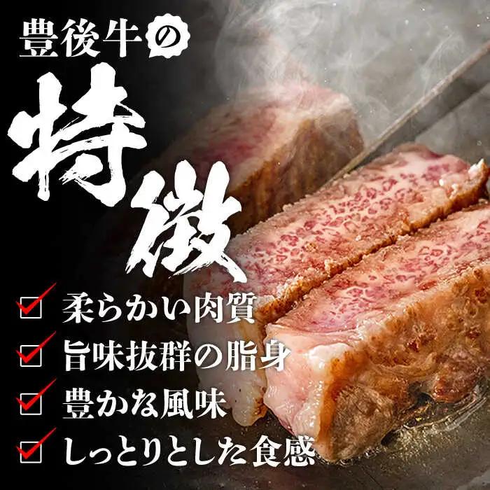 【全12回定期便】【厳選部位】おおいた豊後牛 サーロイン ブロック 1kg 日田市 黒毛和牛 牛肉 サーロイン 豊後牛 サーロインブロック [AREI106]