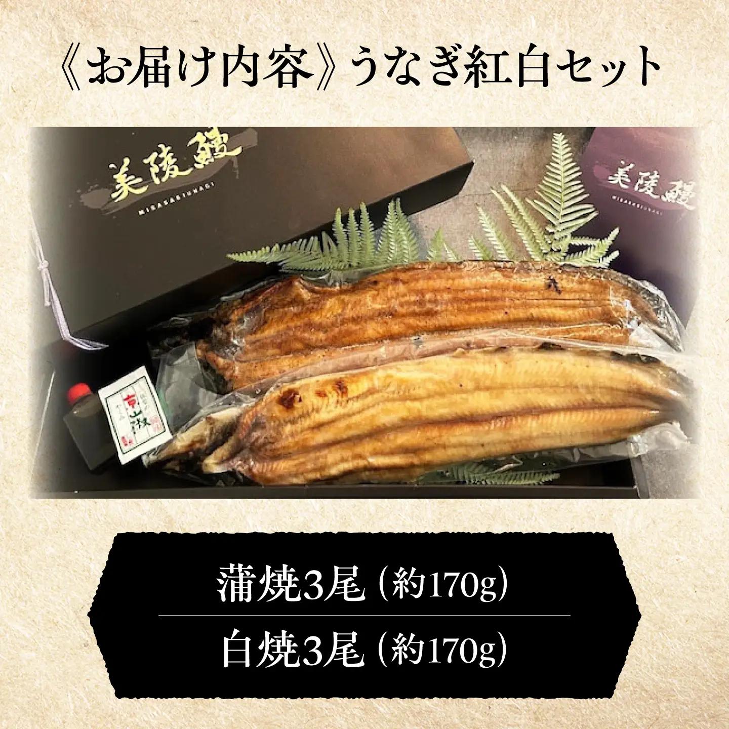 鰻 美陵鰻の蒲焼3尾×白焼3尾 紅白セット / 美陵鰻 鰻 うなぎ ウナギ 蒲焼 蒲焼き かば焼き かばやき 白焼き 白焼 肉厚 うな重 うな丼 惣菜 おかず 山椒 国産 土用 丑の日 土用の丑の日 