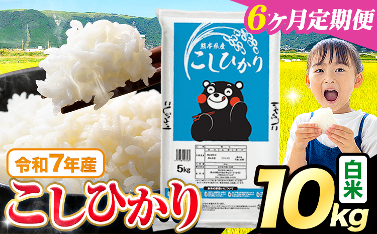 【6ヶ月定期便】令和7年産 米 白米 こしひかり 10kg《お申込み翌月から出荷》熊本県産 ふるさと納税 白米 精米 ひの 米 こめ ふるさとのうぜい コシヒカリ コメ お米 おこめ---reihoku_loc_611_mo6---