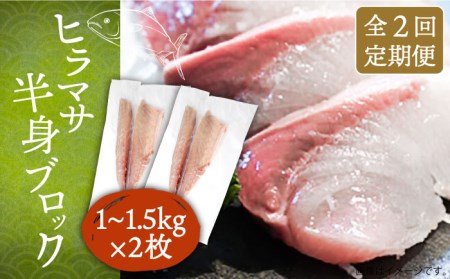 【全2回定期便】壱岐産 ヒラマサ フィレ 2kg〜3kg（半身×2枚・刺身用）[JDT071]