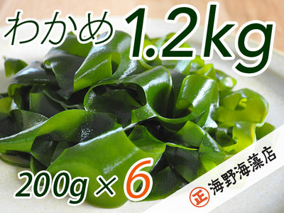 しゃきしゃき 湯通し塩蔵わかめ 1.2kg （200g x 6パック） 国産 三陸産 海野海藻店 わかめ 塩蔵わかめ 湯通し不要_AD001