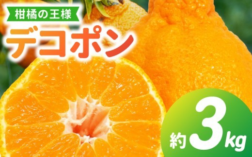 天草産 デコポン 3kg〈先行予約〉