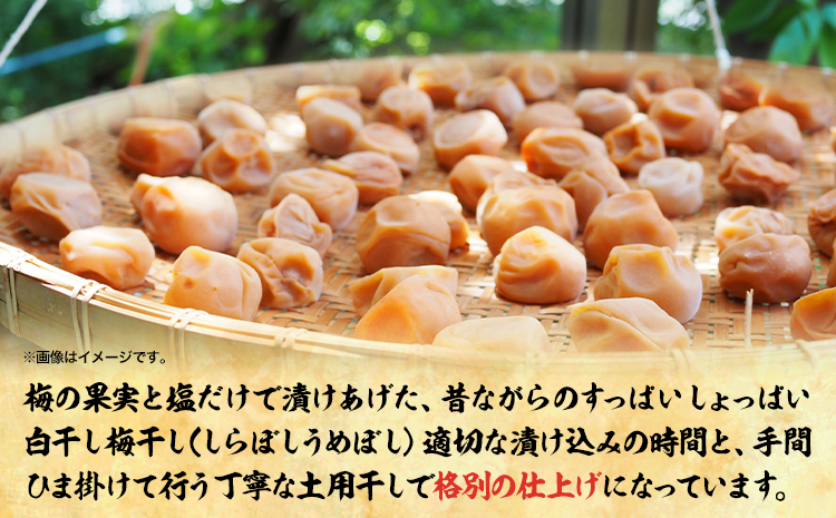梅干し 白干し梅干し 1kg 中玉 2L 和歌山県産 株式会社とち亀物産 《30日以内に出荷予定(土日祝除く)》 和歌山県 日高町 梅 うめ 白干し 梅干し うめぼし 紀州南高梅 漬物 漬け物 ごはん