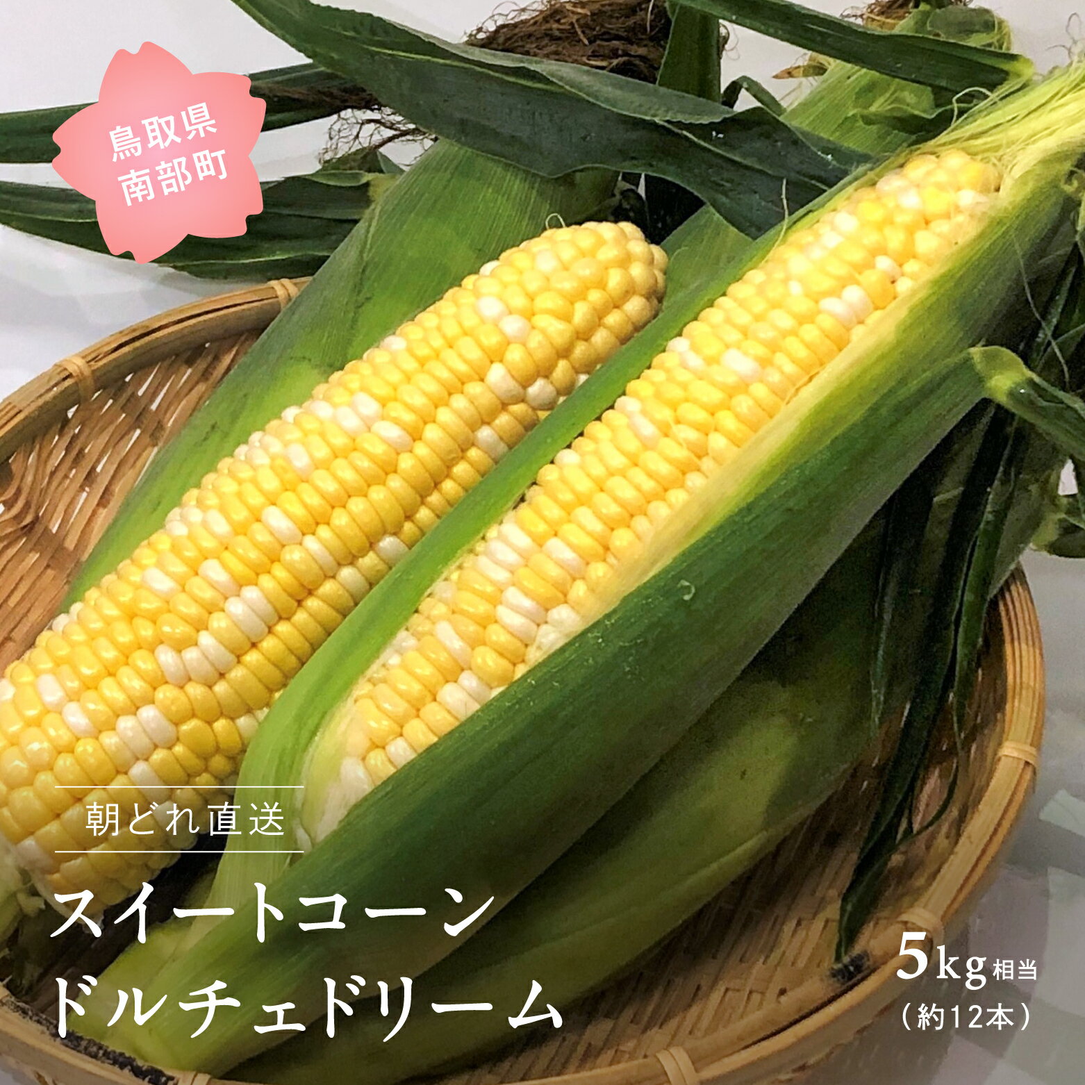 【ふるさと納税】南部町産 朝採れスイートコーン（バイカラー種ドルチェドリーム）5kg箱＜数量限定＞ 2025年収穫分 スイートコーン とうもろこし トウモロコシ コーン 鳥取県南部町