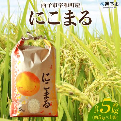 ふるさと納税 西予市 &lt;令和7年産 西予市宇和町産 にこまる 約5kg&gt; お米