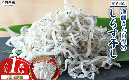 ＜漁師さん自慢のしらす干し 合計1kg 3回定期便＞ 定期便 シラス 魚介類 さかな 海産物 海鮮 海の幸 小分け 国産 ご飯のお供 丼 晩酌 おかず 特産品 濱田水産 愛媛県 西予市 【冷凍】『お申込み月の翌月より配送を開始します』AHS0017