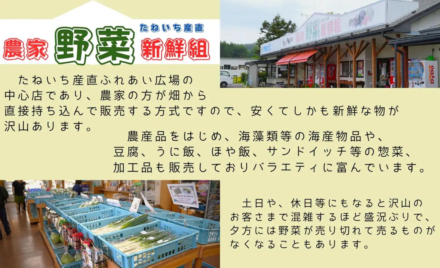 【3ヵ月定期便】季節のお野菜おまかせセット（4～5品程度）