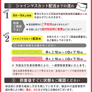 令和8年産 ぶどう「シャインマスカット」1kg 秀品 山形県産【2026年9月上旬頃から10月中旬頃発送予定】 ※配送不可 沖縄・離島　016-B-SD004