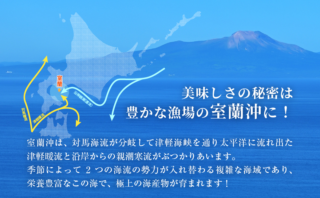 北海道室蘭産 天然活蝦夷あわび 4個入（1個100g～120g前後）（2026年1月中旬頃から順次発送予定） MROH011