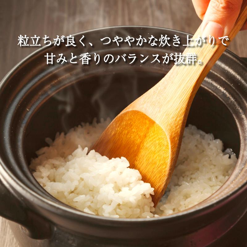 令和7年産 米 コシヒカリ 10kg 先行予約 2025年9月発送 新米 こしひかり 白米 精米 お米 農家直送 国産 徳島県 小松島市