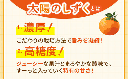 【幻のみかん】みかん食べくらべ定期（太陽のしずく・今村温州みかん）【夢の甘熟みかん タッチ】[HCE003]フルーツ 佐賀みかん 温州みかん 食べ比べ 蜜柑 ミカン