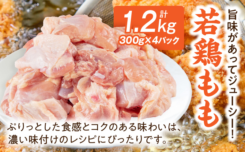宮崎県産若鶏もも・むね切り身 小分けパック 合計4.2kg 国産 もも むね 鶏もも 鶏むね 鶏肉 肉 お肉 唐揚げ チキン南蛮 サラダチキン カット カット済み 小分け おかず 冷凍 真空パック パ