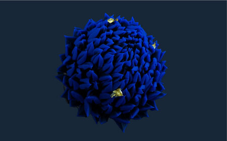 蒼炎　針切菊　上生菓子【有限会社いづみや】[AKGK018]