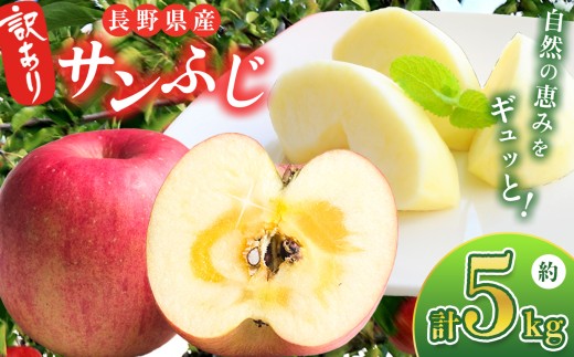 【2026年先行予約】 訳あり 信州産 サンふじ 5kg ｜ ベジサコ リンゴ りんご 林檎 果物 フルーツ 果実 果汁 サンふじ さんふじ わけあり 訳アリ 訳あり 長野県 松川村 信州