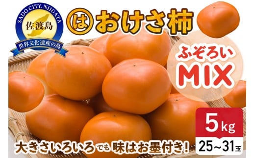 【先行予約】ふぞろいmixおけさ柿　約5kg（25～31個）（家庭用）